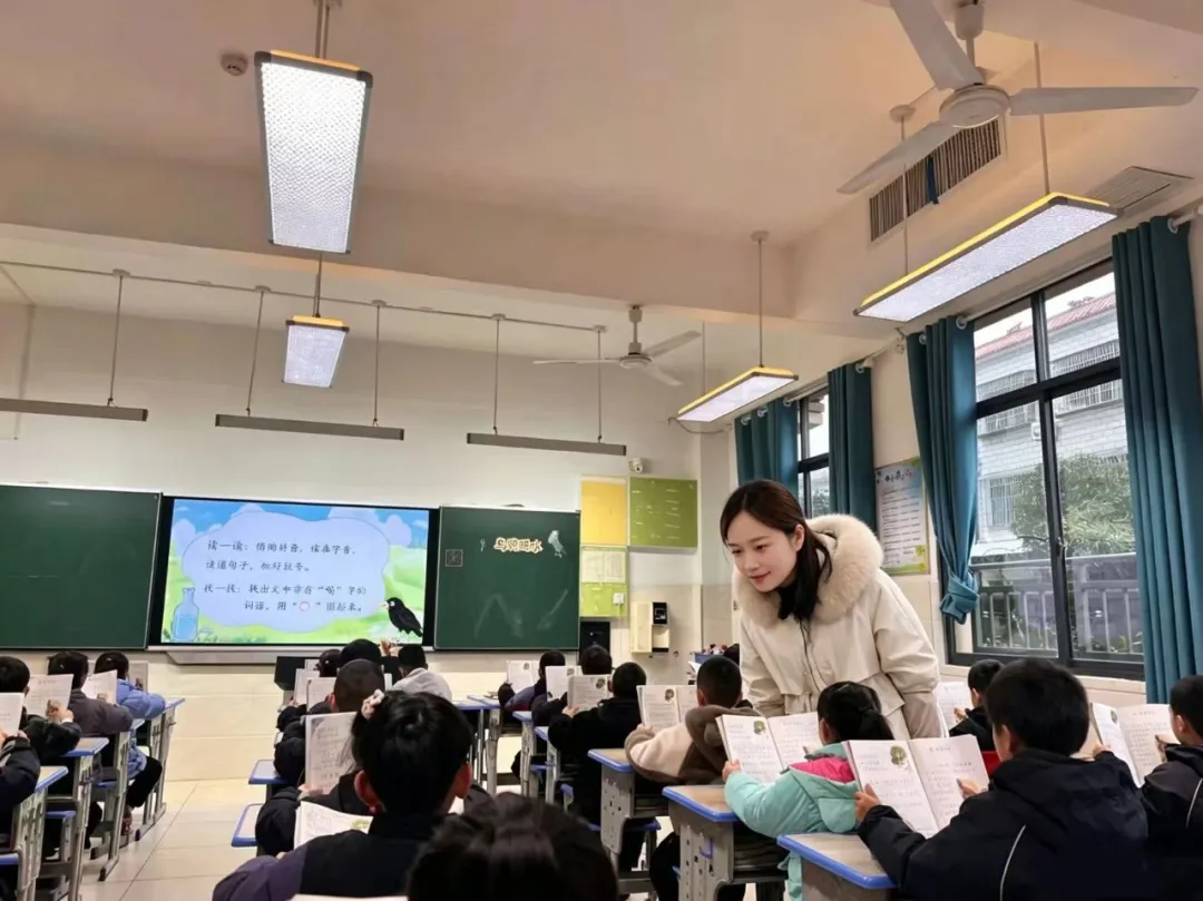 杨金巧教学
